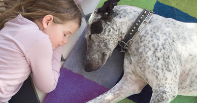 Tips for creating a safe and happy bond between your newly adopted dog and children