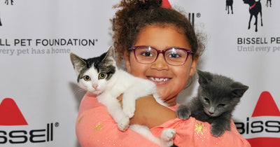 Tips for creating a safe and happy bond between your newly adopted cat and your children