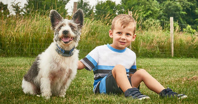 Start Your Search: Find the Right Pet for Your Family