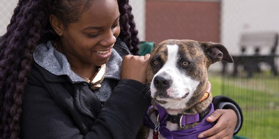 Want to save thousands of homeless pets?