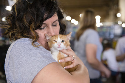 5 Ways to Ensure Your Kitty Lives a Happy, Healthy Life