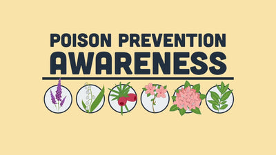 Which plants are poisonous to pets?