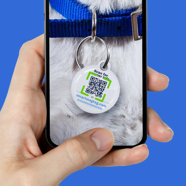 Innovation Nation: The Smart ID Tag – Wagtopia