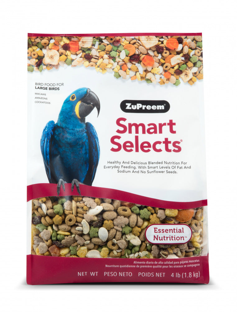 All Bird Food & Treats